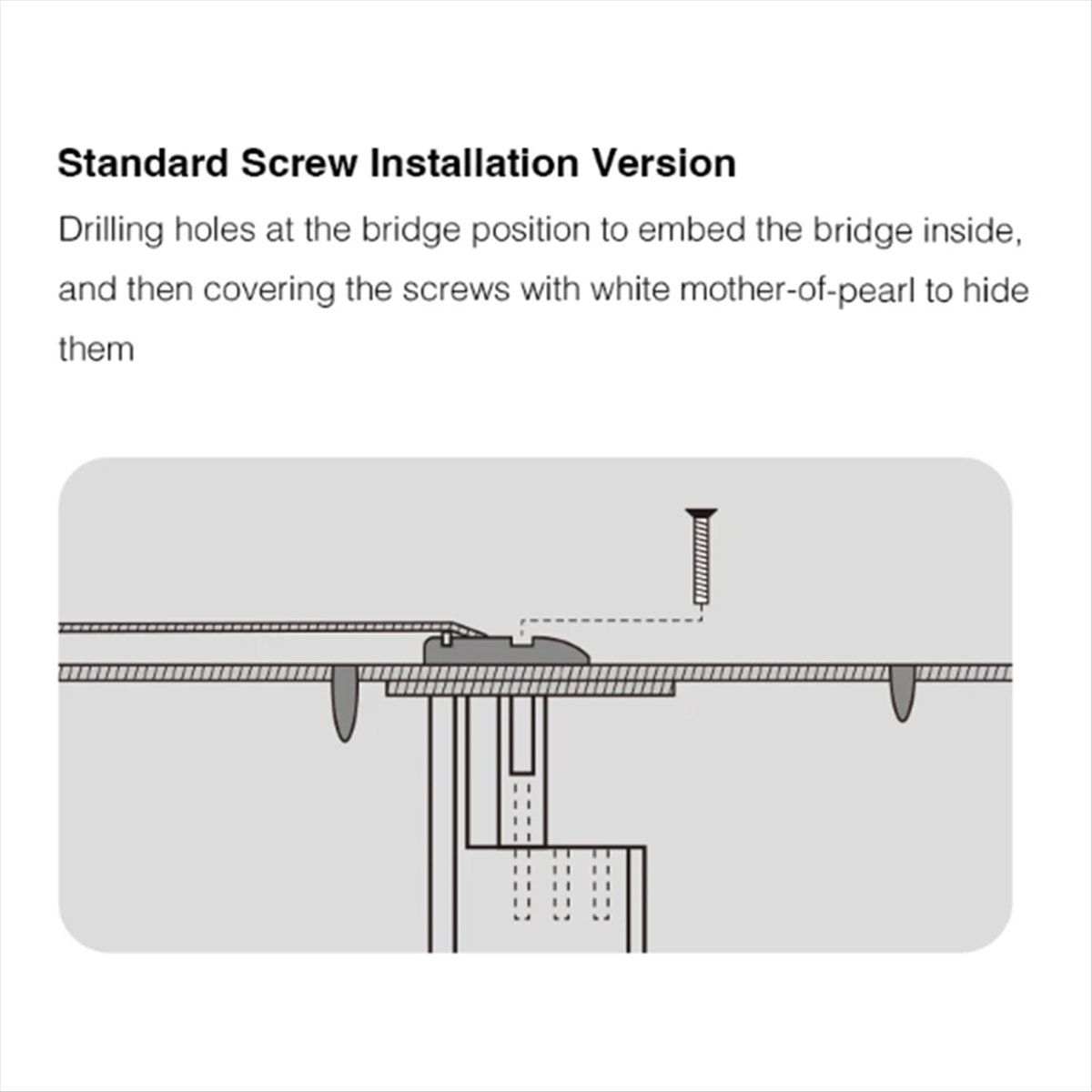 New Arrival Guitar Bridge Doct - Musical Instrument Manufacturers recension och pris
