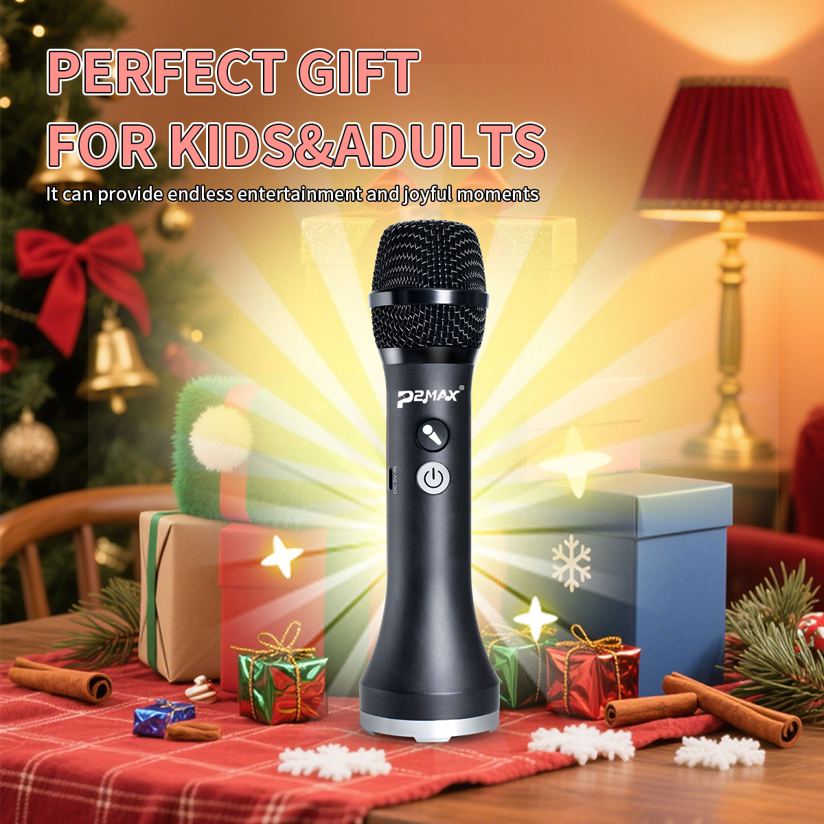 1PC 20Watt P2MAX Echo Hifi Kar - Shure Mic Sm58 recension och pris